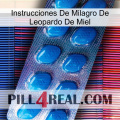 Leopard Miracle Of Honey Instructions viagra1